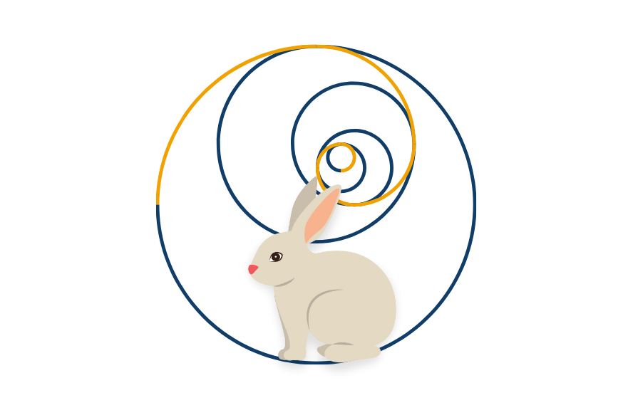Fibonacci'nin Tavşanları Atölyesi
